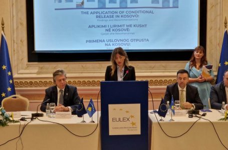 Lirimi me kusht – Haxhiu tregon për ankesat e të burgosurve: Vendimet refuzohen pa arsyeje