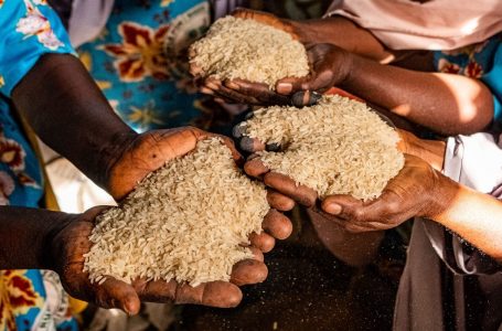 OKB-ja paralajmëron rrezikun e vdekjes nga uria në disa vende