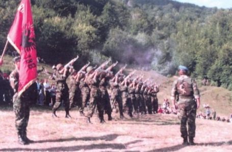 25 vite nga beteja e Grykës së Llapushnikut