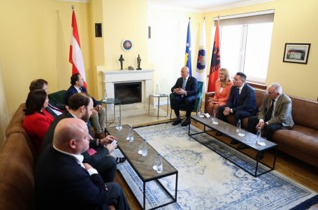 Haradinaj takon deputetët austriak: Austria ka luajtur rol të rëndësishëm në fazat më kryesore për Kosovën