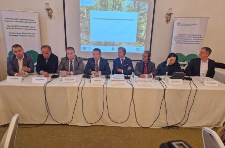 Ministri Peci paralajmëron masa për dëmtuesit e pyjeve