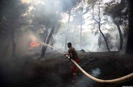 Jugu i Shqipërisë në luftë me zjarret pyjore
