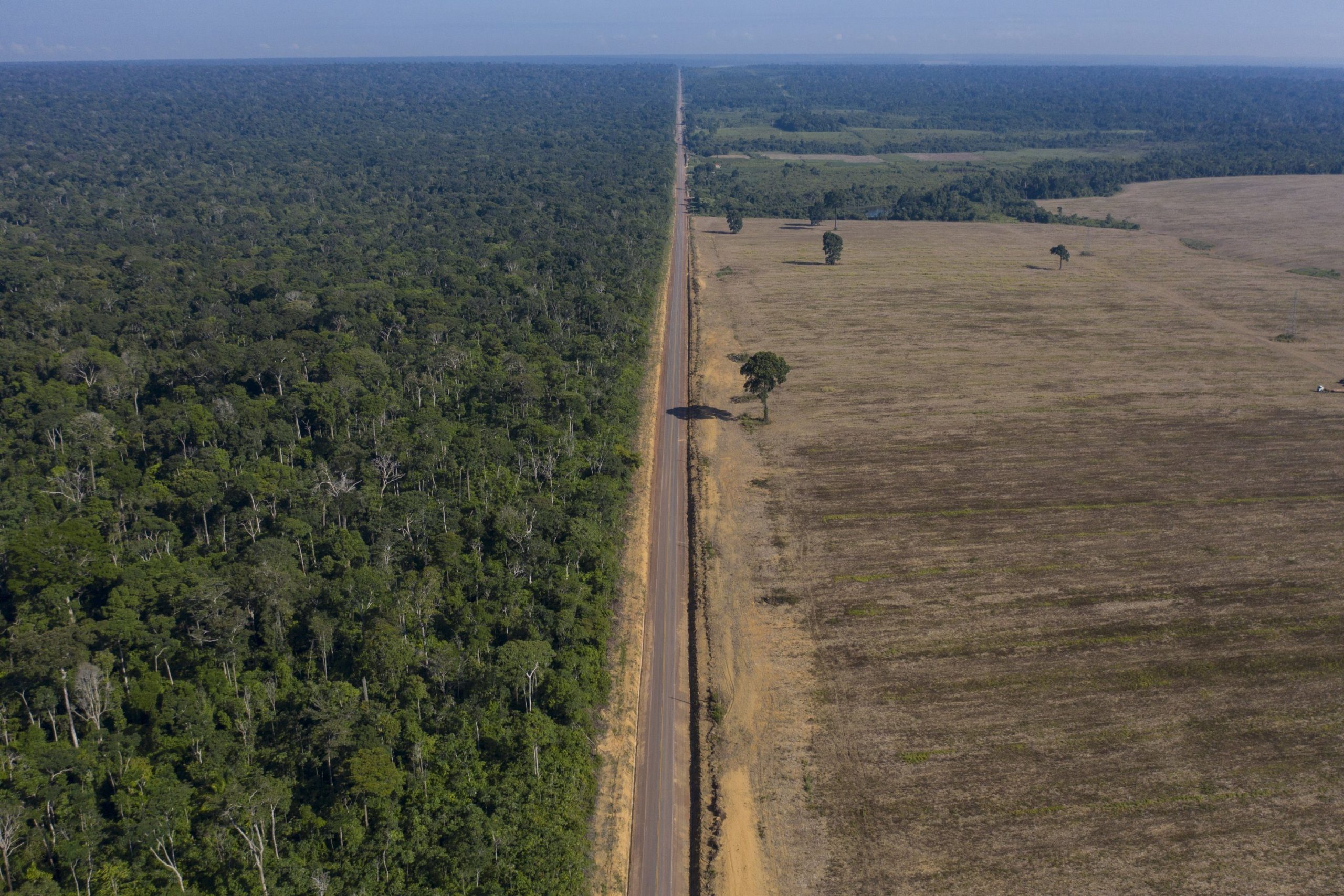 Pyjet tropikale të Amazonës, shkalla e shpyllëzimit u përgjysmua në vitin 2023