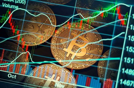 Parashihet rritje e bitcoinit deri në 1 milion dollarë për njësi