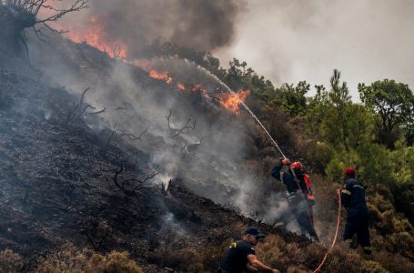 Greqi: 79 persona të arrestuar për zjarrvënie që lanë të vdekur së paku 20 persona