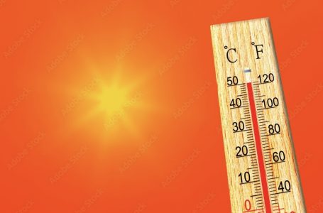 Parashikimi i motit gjatë fundjavës