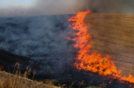 Rreziku për zjarre në Kosovë, Aliu: Qytetarët të kenë kujdes e të mos ndezin zjarre, nga erërat mund të përhapen edhe në vendbanime