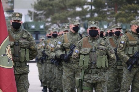 Çfarë dihet për donacionet në Fondin e Sigurisë?