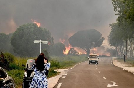 Zjarr i madh në jug të Francës, evakuohen kampet me shumë turistë
