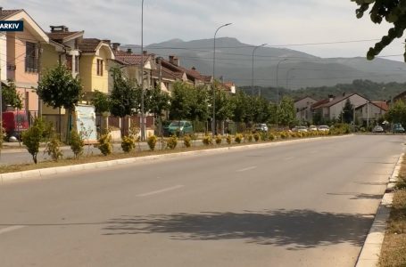 Qytetarët e Gjakovës vlerësojnë subvencionet e Qeverisë së Kosovës