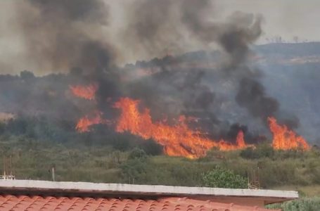 23 të arrestuar për zjarrvënie të qëllimshme në Shqipëri