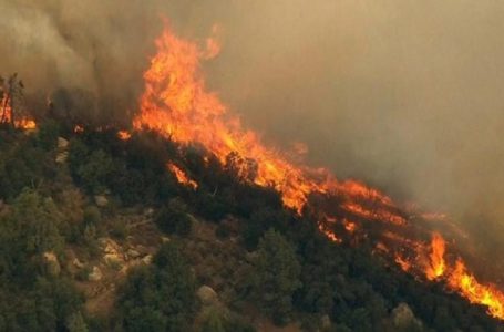 Në 24 orët e fundit ka pasur 23 zjarre në Maqedoni, katër prej të cilave janë ende aktive