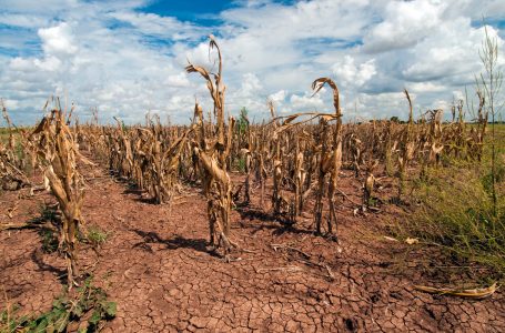 Financial Times: Fenomeni El Nino kërcënon rritjen e çmimeve në tregjet globale të ushqimit