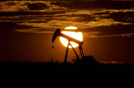 Rritet çmimi i naftës