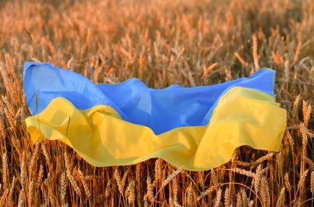 Si Ukraina shpreson të lëvizë përsëri dërgesat e grurit