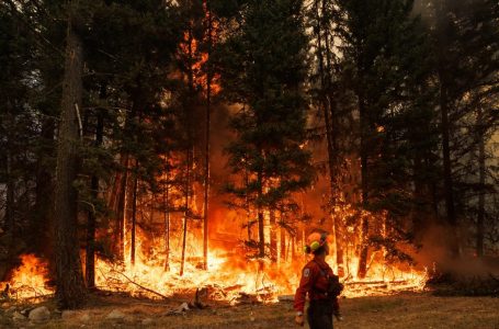 Kanadaja “në mëshirë” të zjarreve/ Flakët i afrohen qytetit, evakuohen banorët