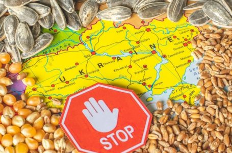 Polakët dhe ukrainasit mund të përkeqësojnë edhe më tej raportet – Polonia mund të ndalojë importin e më shumë produkteve ushqimore të Ukrainës