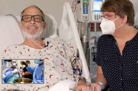 Pacientit amerikan i transplantohet zemra e derrit, hera e dytë në histori të njerëzimit