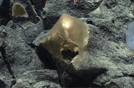 Alaska: Një objekt misterioz i artë kapet në fund të oqeanit