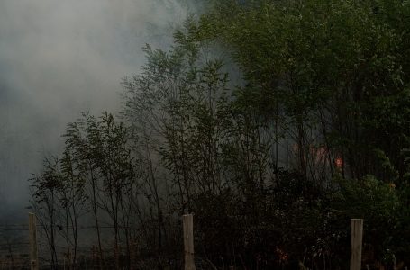 Zjarri përfshin zonën malore të fshatit Nec