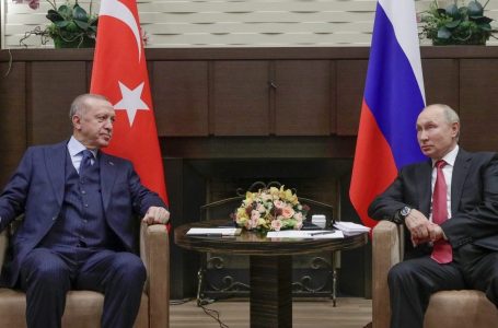 Drithërat e Ukrainës në fokus të takimit Erdogan-Putin