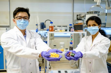 Shqyrtohet kultivimi laboratorik i frutave, shkak ndryshimet klimatike