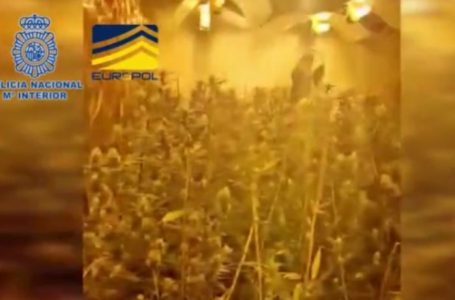 Spanjë: Europol shkatërron grupin shqiptaro-kinez, shpërlanë mbi 65 milionë euro