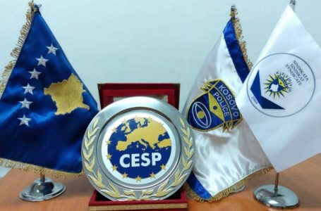 Sindikata e policisë: Po përcjellim nga afër sulmet terroriste që po i bëjnë grupet kriminale