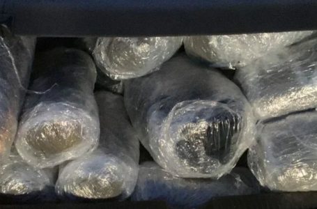 U furnizuan me 49kg drogë në kufi me Shqipërinë, Greqia arreston dy shqiptarë dhe një grek
