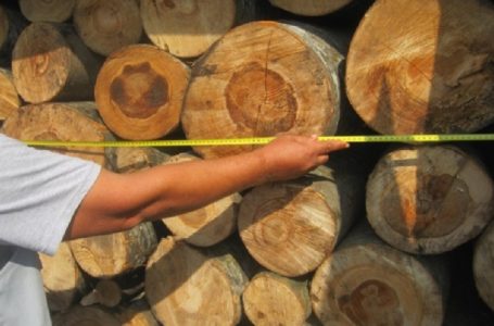 Deri në 70 euro një metër dru, bie interesimi i kosovarëve për blerje