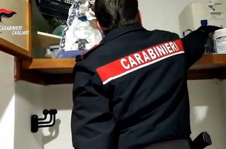 ‘Shpartallohet’ një bandë italo-shqiptare e trafikut të drogës, 40 të arrestuar