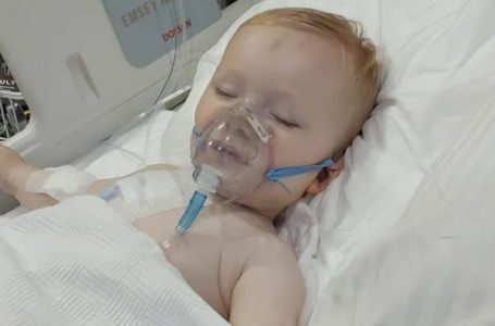 Alp Morina i diagnostikuar me Leucemi Akute Lymphoblastica kërkon ndihmën tonë