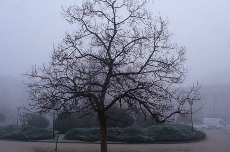 Mjekët apelojnë për kujdes, mjegulla ndikon negativisht në shëndetin tonë