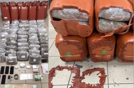 Drogë nga Shqipëria drejt Greqisë, kapen 54 kg marijuanë në Selanik, në pranga dy shqiptarë
