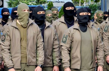 Policia në pritje, 14 kërkesat e tyre ende nuk marrin përgjigje nga Qeveria