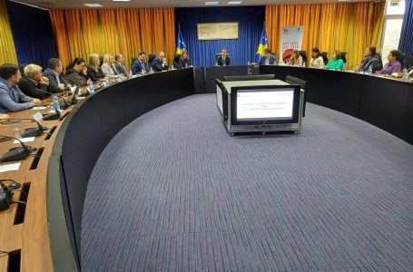 Lansohet masa për punësimin e grave të dhunuara, 70% e pagës subvencionohet nga Qeveria