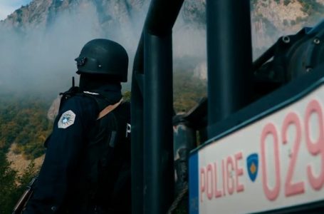 Vetaksidenti me fatalitet në Gjilan, Policia jep detaje