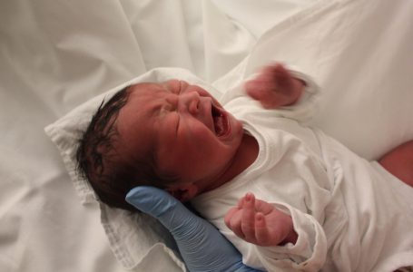 Nga janari deri në fillim të dhjetorit lindën 7.253 foshnje