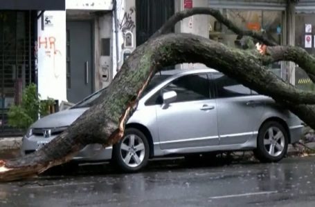 14 të vdekur në Argjentinë nga përkeqësimi i motit