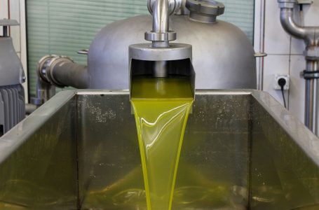 Policia në Spanjë dhe Itali kanë sekuestruar më shumë se 5000 litra vaj ulliri të falsifikuar