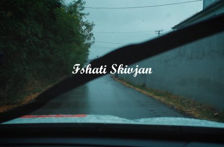 Histori Fshati – Skivjan