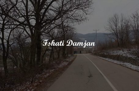 Histori Fshati – Damjan