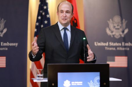 Wisner: Shqipëria, partnere e popullit ukrainas dhe SHBA-ve