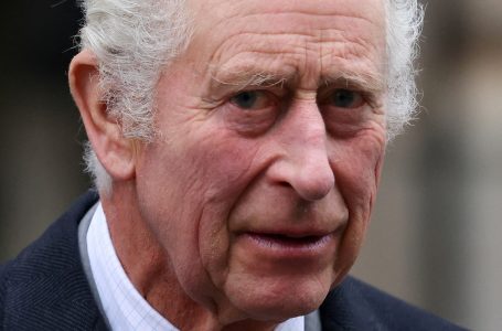 Mbreti Charles i Britanisë së Madhe diagnostikohet me kancer