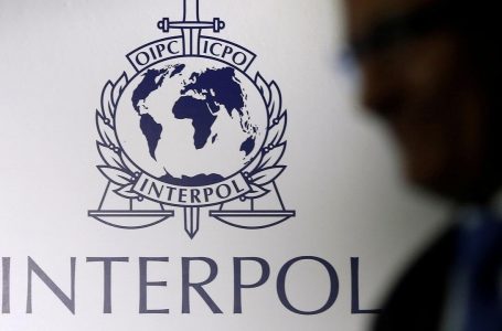 3 shqiptarë ekstradohen nga Greqia dhe 2 ekstradohen drejt Italisë, zbardhet aksioni i Interpolit