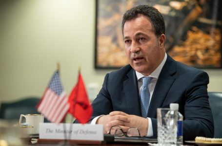 Peleshi: Shqipëria pikë reference për sigurinë detare