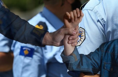 Shtatë raste të dhunës në familje të raportuara në 24 orëshin e fundit