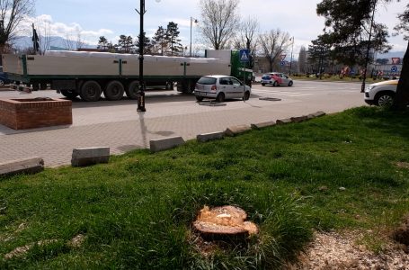 Prerja e drunjëve, jep dorëheqje UD së kryeshefit të “Stacionit të autobusëve”