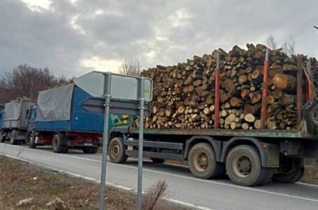 Ndalohen katër kamionë që dyshohet se po bartnin dru ilegalisht
