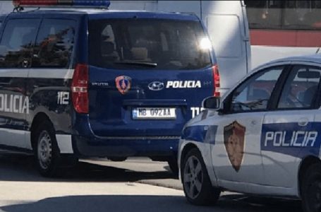 Sillnin armë nga Kosova për shitje në Shqipëri, arrestohen dy 19-vjeçarë